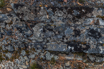 blue green rough moss on texture orange gray stone