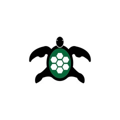 Obraz premium Turtle vector