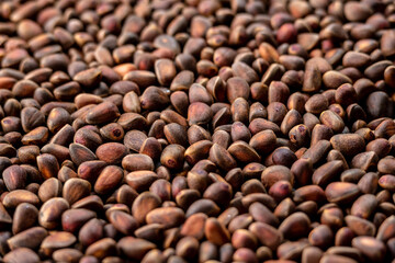 Background of whole pine nuts. Lots of cedar seeds in their shells. Top view