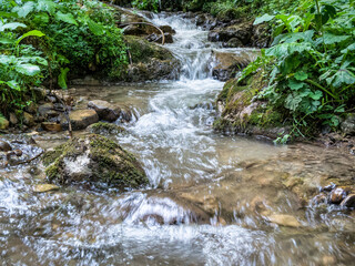 Naklejka na ściany i meble Stream flowing smoothly between rocks and green leaves in the forest. Seven ladders canyon in Piatra Mare (Big Rock)mountains.