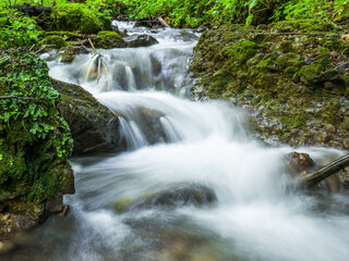 Picture of a mountain stream or creek flowing between rocks in Carpathian Mountains, Romania. Seven ladders canyon in Piatra Mare (Big Rock)mountains.