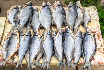 Dried white-eye bream (Ballerus sapa) fish for sale