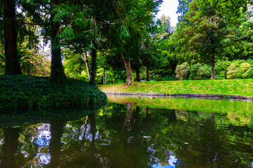 Fototapeta premium lake in the park