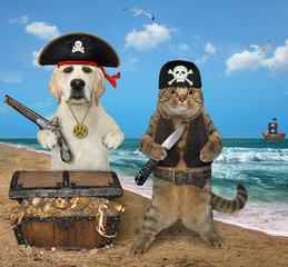 A beige cat with a dog are next to a pirat chest full of treasures on the seashore.