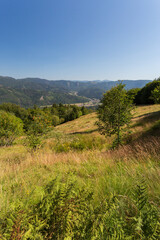 Obraz premium Sècheresse en montagne