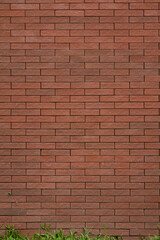Modern red brick wall with green grass on the bottom