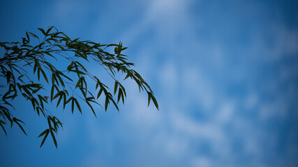 アナモルフィックレンズで撮影した映画のようなシネマスコープの写真