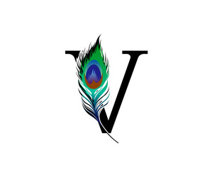 V Letter Decorated With Exotic Peacock Feather.
