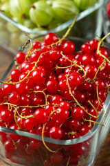 Assorted berries of raspberries, gooseberries and red currants