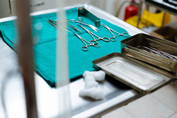 Sterile veterinary instruments on green fabric on operation table ready for use