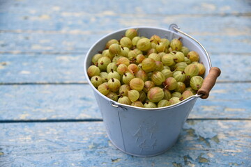 It may take up to 3 days for your approved content to be viewable elsewhere on the site.