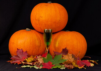 A trio of pumpkins against a black background