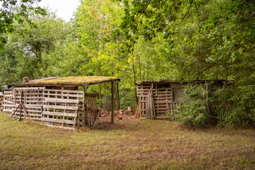 Old wooden hut in Forest