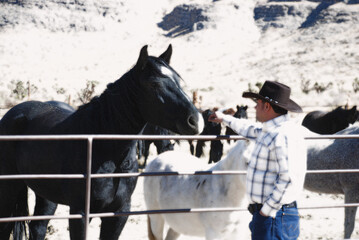 man and horse
