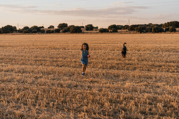 Fototapeta na wymiar Young girl playing with her dog in the field during sunset