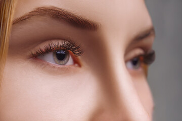 Fototapeta premium Eyelash Extension Procedure. Woman Eye with Long Eyelashes. Close up, selective focus.