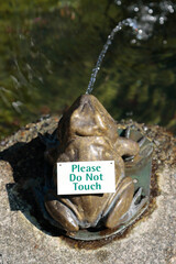 frog fountain