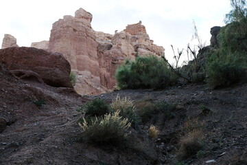 Shrubs grow along the gorge in the Charyn canyon.