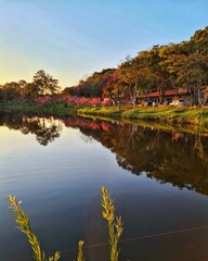 Obraz premium landscape with lake