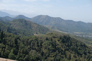 Trees, shrubs and Tien Shan firs grow on the slopes in a mountainous area near Almaty.