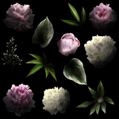 Lush watercolor flowers on the black background with deep shadows