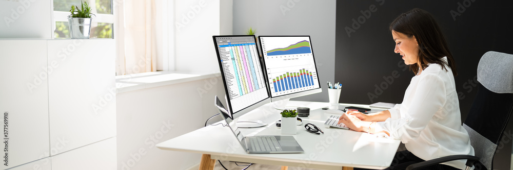 Poster Analyst Working With Spreadsheet Business Data
