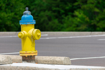 Old Yellow and Blue Fire Hydrant With Copy Space