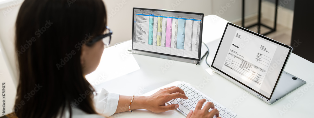 Poster Analyst Employee Working With Spreadsheet Report