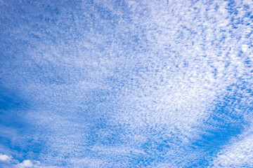 Tiny white sheep clouds against a blue sky