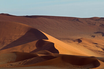 Fototapeta na wymiar Red sanddunes of the Sossusvlei area in the Namib-Naukluft National Pak in Namibia