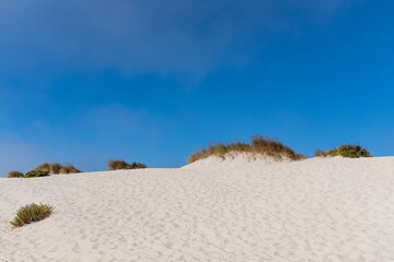 Dunes at beach in portugal