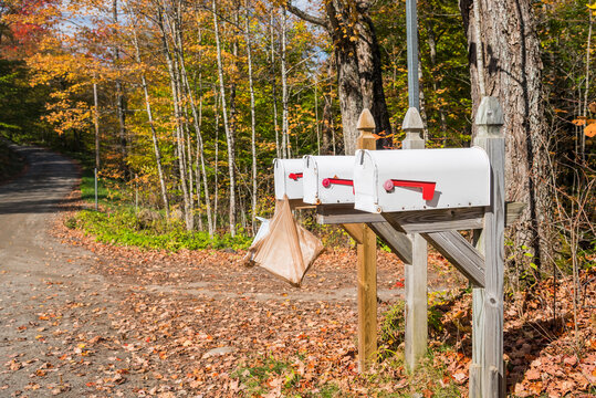 Row of mailboxes along an unpaved forest road in the countryside on a sunny autumn morning. Beautiful autumn colours.