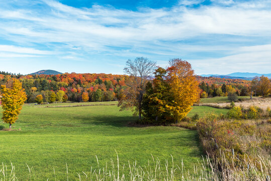 Idyllic rural landscape with forested hills at the peak of fall foliage on a sunny autumn day. Peacham, VT, USA.
