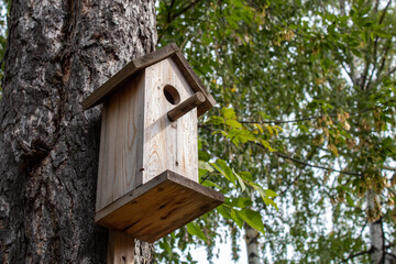 A birdhouse for forest birds on a conifer.