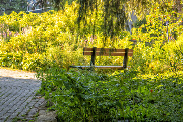 Naklejka premium Bench in a Garden