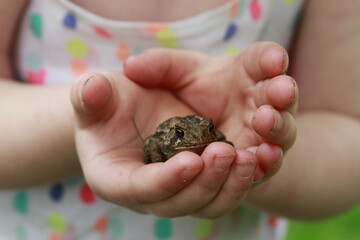 child holding toad