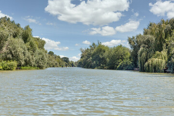 Danube biosphere reserve Ankudinovo river summer landscape. Vilkove, Ukraine.
