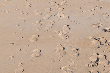 footprints on the beach sand