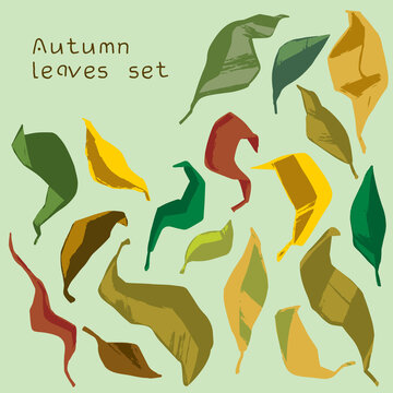 Autumn leaves set with yellow, brown, green and orange colours 