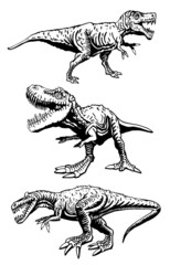 Set of tyrannosaurses on white background, vector illustration