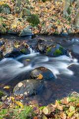 A water cascade in autumn creek with fallen leaves on a rocky shore. Water flows around the stones in the river.