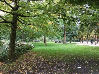 park in the park
