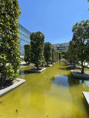 Bassin du parc André Citroën à Paris