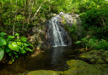 Obraz premium la sidra