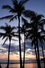 Naklejka na ściany i meble Sunset palm trees in hawaiii