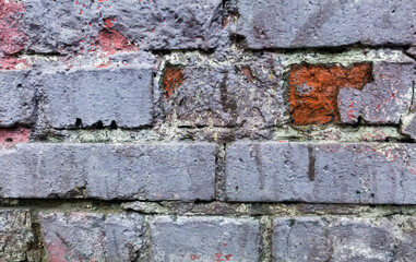 An old dirty brick wall with peeling lilac, in some places pink paint