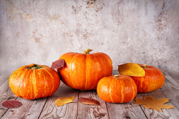 Colorful orange pumpkins for Thanksgiving, Halloween or fall on gray rustic surface against concrete wall with autumn leaves