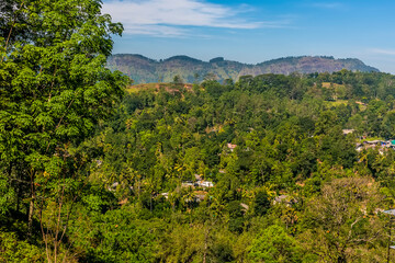 Fototapeta na wymiar A view across the jungle highlands in Sri Lanka, Asia
