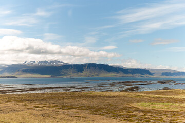 view of a lake and a volcano in the distance with yellow grass on the foreground