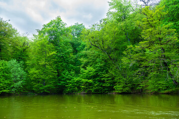 Fototapeta premium Parz Lich (Clear Lake) with forest, Armenia